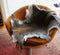 Wallaby Skins